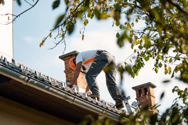 Gutter Installation and Roofing in Rapid City, MI
