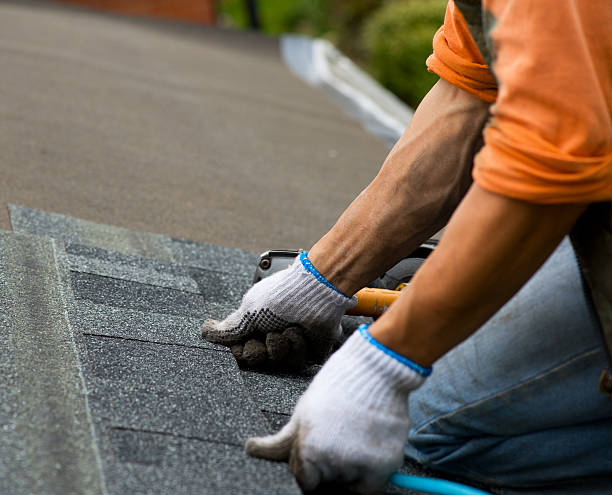 Quick and Trustworthy Emergency Roof Repair Services in Rapid City, MI