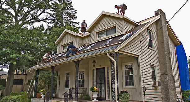 Best Metal Roofing Contractor  in Rapid City, MI
