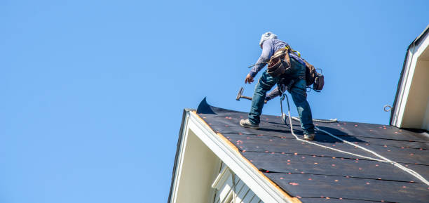 Best Residential Roofing Contractor  in Rapid City, MI